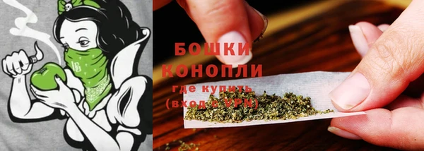 экстази Михайлов