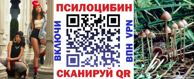Псилоцибиновые грибы Psilocybe  Купить  Домодедово 